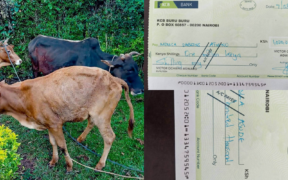 Victor Agwaro Raises New Demands After Ex-Wife Returns Dowry Cows
