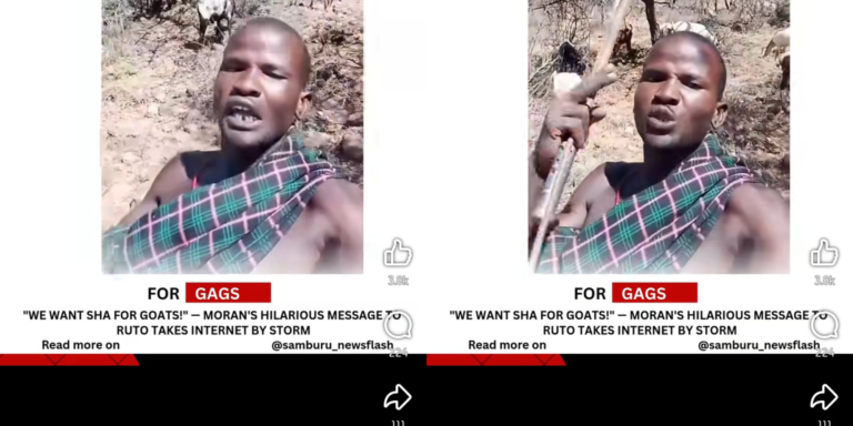 "Tunaingia TUTAM Ruto Akileta SHA Ya Mbuzi na Ng'ombe," Maasai Man Says