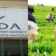A collage photo showing KTDA building and one of its tea farm with farmers harvesting tea. Photo/ KTDA