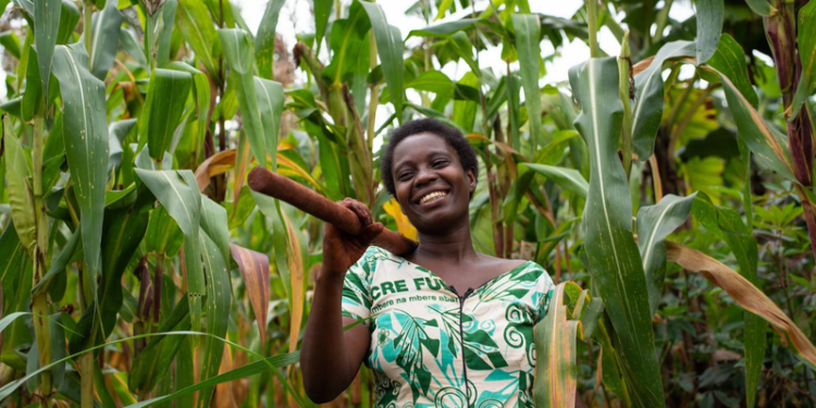 Farmers Get Relief as Fertilizer Price Drops to Ksh 2,000