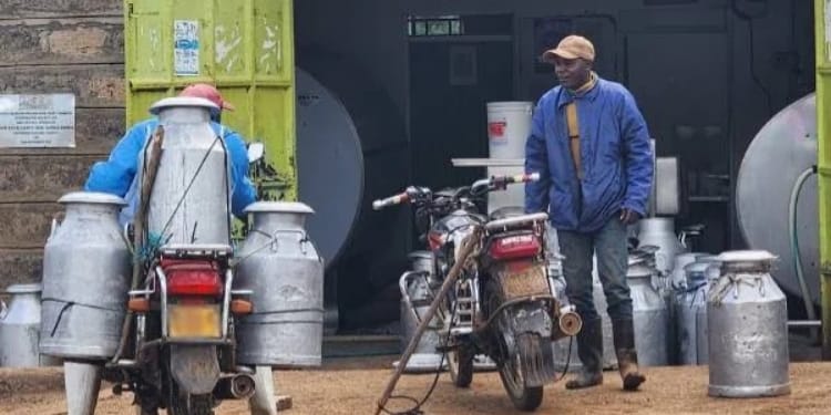 Men putting milk in containersPHOTO/EV