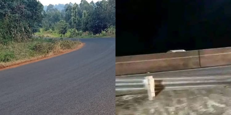 Nairobi–Karatina–Nyeri–Nanyuki highwayPHOTO/FB