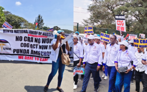 Nurses Issue Fresh Nationwide Strike Update, Reveal Next Course of Action