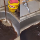Nairobi Water Responds to Viral Claims of Contaminated Water