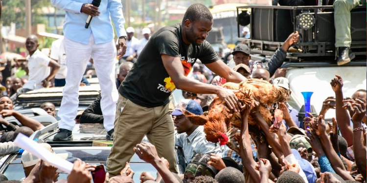 A photo of Nairobi Senator Edwin Sifuna being gifted chicken at Sabatia, Kakamega County as part of fundraising on August 8, 2026. PHOTO/ Edwin Sifuna X