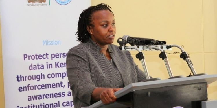 A Data Protection Officer advises organisations, monitors compliance, trains staff and helps protect personal data while ensuring privacy laws are followed.