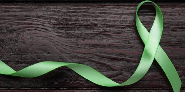 A green bow usually used to illustrate mental health awarenessPHOTO/SB Counselling