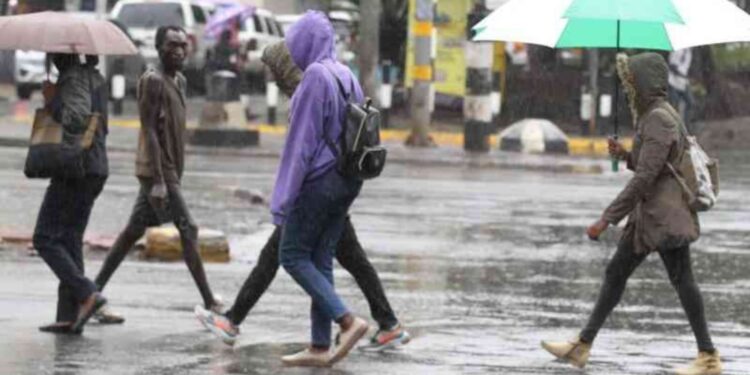 Kenyans walking in the rain PHOTO/Standard