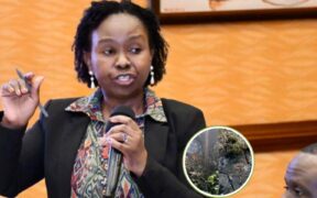 Kenya Tourism Federation Susan Ongalo.PHOTO/KTF X
