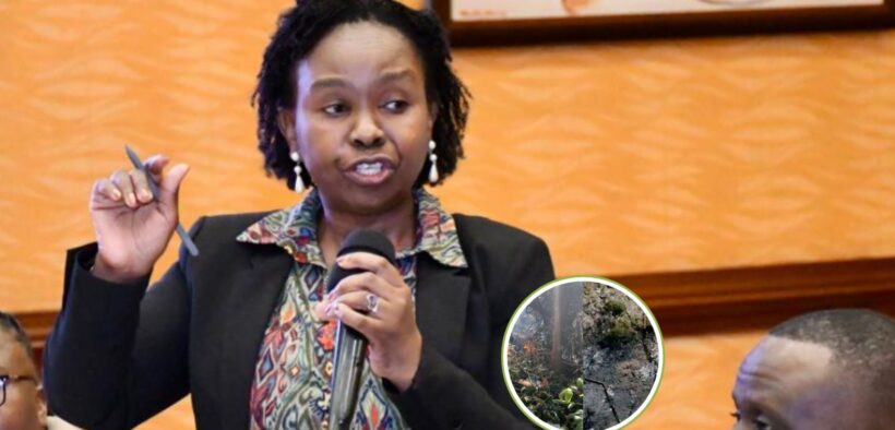 Kenya Tourism Federation Susan Ongalo.PHOTO/KTF X
