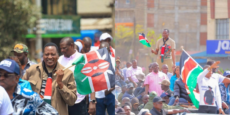 Senator Explains the Unexpected Events That Led to the Formation of Mwananchi Party