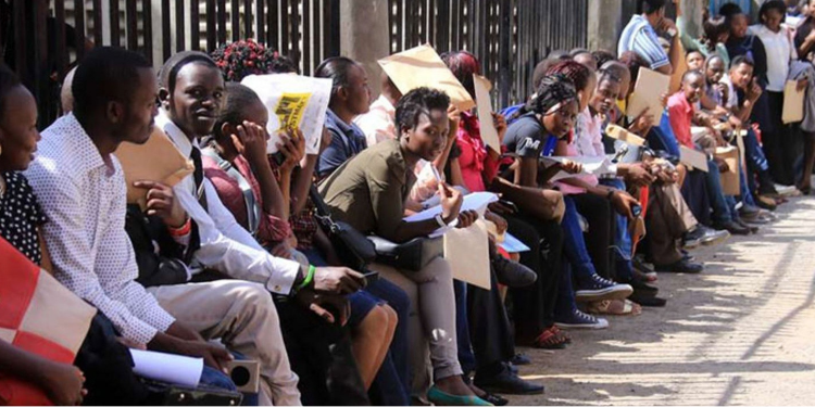 Job seekers lining up to hand over applications PHOTO/NMG