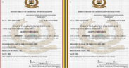 A sample of a police clearance certificate PHOTO/NPS