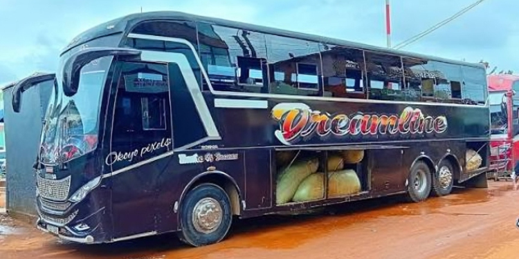 A photo showing Dreamline bus on the road. Photo/ Dreamline 