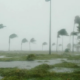 An image of strong winds along the Kenyan coast, bending palm trees. Photo / File