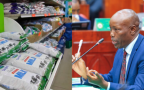 Milk Shortage: Kenya Turns to Uganda and Neighbours to Fill Supply Gap