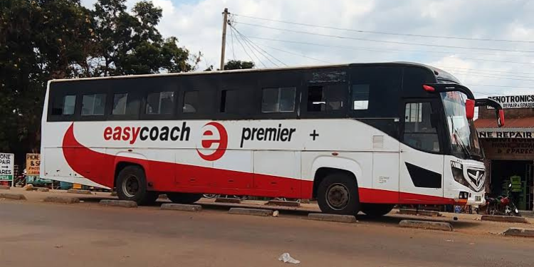 Photo showing Easy Coach bus on the road. Photo/ Easy Coach
