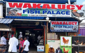 Photo showing Wakalucy Fish Palace in Nairobi. Photo/ Courtesy