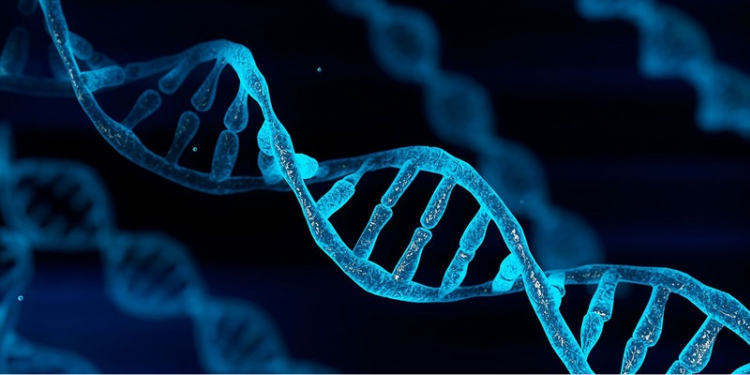 A photo of an illustration of a DNA sequence PHOTO/iStock