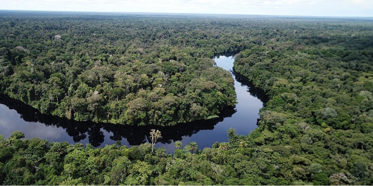 Congo River Basin PHOTO/iStock