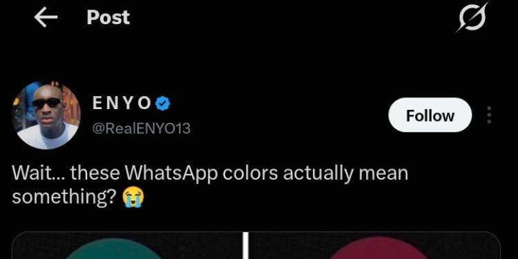 WhatsApp Contact Colours Spark Debate as Users Question Their Hidden Meaning