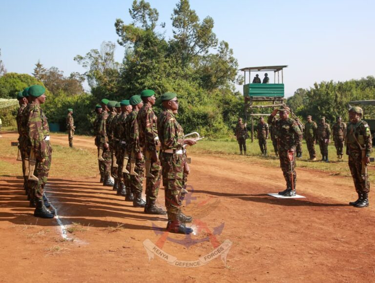 A photo of troops ready for carrying out UN missions
