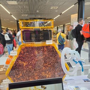 A picture of Danish Honey that is showcased in the conference Image/Charline/FB