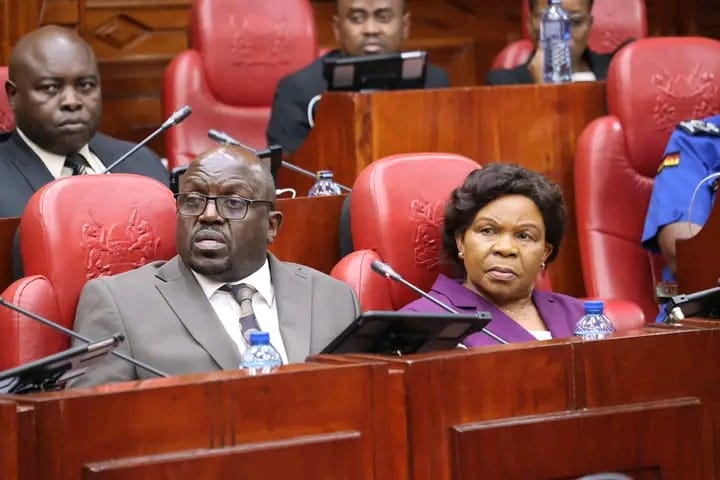 NPSC CEO Peter Leley appearing before the National Assembly Security Committee on September 9, 2025. PHOTO/Parliament.