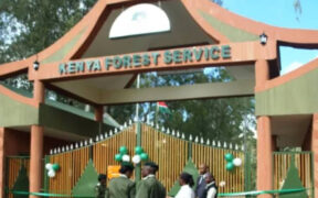 Kenya Forest Service headquarters in Nairobi. PHOTO/SG.