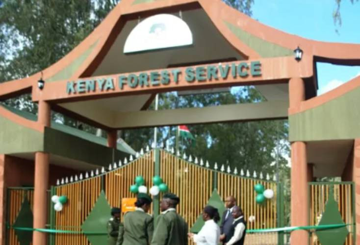 Kenya Forest Service headquarters in Nairobi. PHOTO/SG.