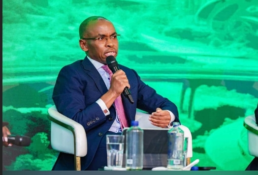 Safaricom CEO Peter Ndegwa. The telco launched Fuliza and other loan products. PHOTO/ Peter Ndegwa X