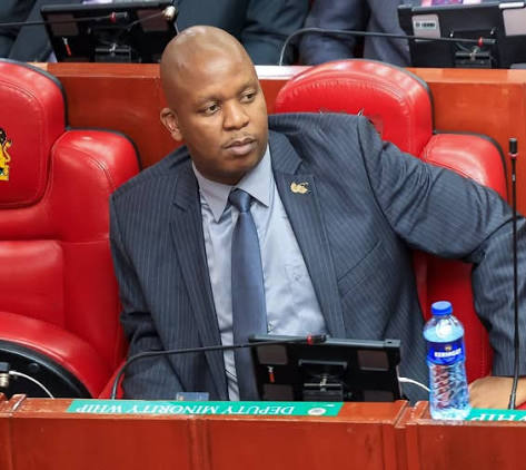 Photo of MP Mark Mwenje during previous Parliament session. PHOTO/ Parliament of Kenya