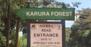 Karura Forest Kiambu Road Entrance, Gate C. PHOTO/Kenya Wildlife Tours.