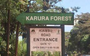 Karura Forest Kiambu Road Entrance, Gate C. PHOTO/Kenya Wildlife Tours.