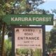 Karura Forest Kiambu Road Entrance, Gate C. PHOTO/Kenya Wildlife Tours.