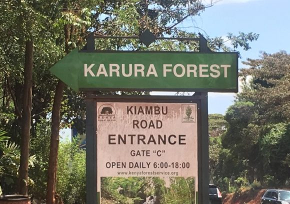 Karura Forest Kiambu Road Entrance, Gate C. PHOTO/Kenya Wildlife Tours.