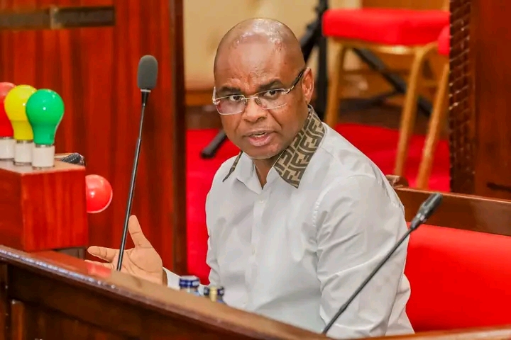 Senate Speaker Amason during the session in Busia. PHOTO/Parliament