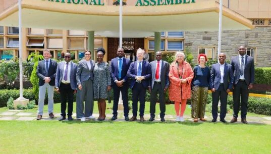 A group of Kenya and Germany MPs outside the National Assembly. PHOTO/NA