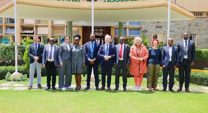 A group of Kenya and Germany MPs outside the National Assembly. PHOTO/NA