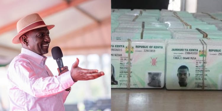 A photo collage of President William Ruto and uncollected ID Cards. PHOTO/PCS.