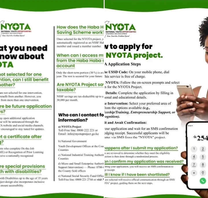 NYOTA program notice showing details of what applicants are required to meet. PHOTO/ NYK website 