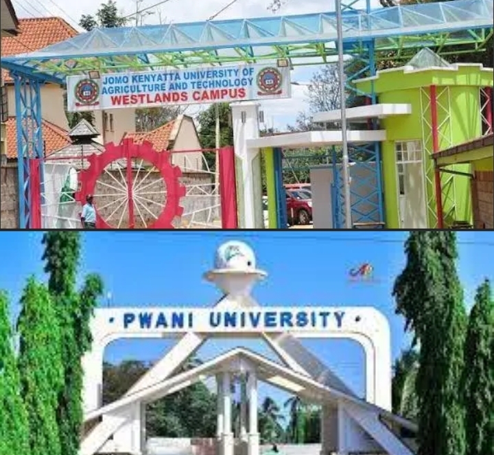 Scholarship Program for African graduates