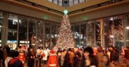 Christmas Tree In A Japanese Mall. PHOTO/ Courtesy