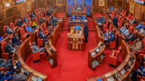 A past session of the Senate. PHOTO/Parliament.