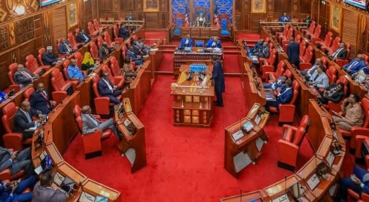A past session of the Senate. PHOTO/Parliament.