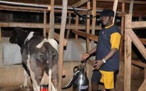 Opanda Farm where Raila will be rest.