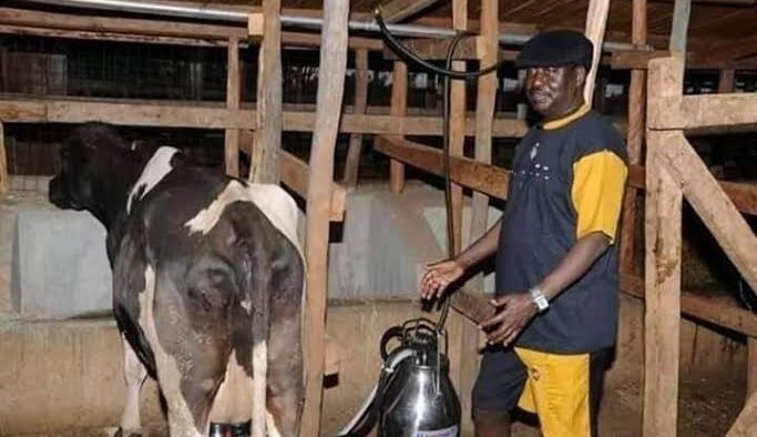 Opanda Farm where Raila will be rest.