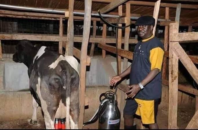 Opanda Farm where Raila will be rest.