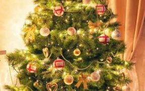 December decorations. PHOTO/ GI