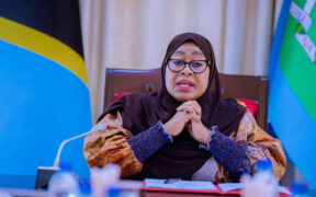 Samia Suluhu Hassan speaking at past event. PHOTO/Samia X